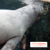Zoo de Vincennes, Parc Zoologique de Paris 2017
