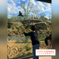 Zoo de Vincennes, Parc Zoologique de Paris 2017