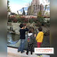 Zoo de Vincennes, Parc Zoologique de Paris 2017