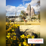 Zoo de Vincennes, Parc Zoologique de Paris 2017