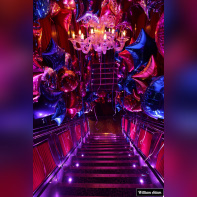 Les 15 ans du Pink Paradise