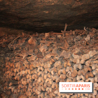 Les Catacombes de Paris