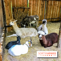 Aventure Floréval, le parcours en pleine nature