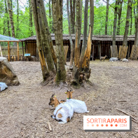 Aventure Floréval, le parcours en pleine nature