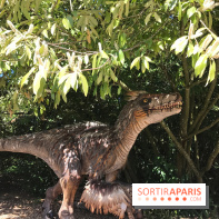 DinoZOOre II au Zoo de Thoiry, album 2