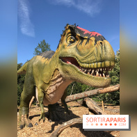 DinoZOOre II au Zoo de Thoiry, album 2