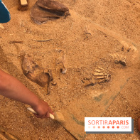 DinoZOOre II au Zoo de Thoiry, album 2