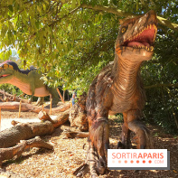 DinoZOOre II au Zoo de Thoiry, album 2