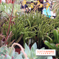 Jardins en Seine 2017