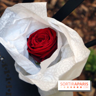 The Magnifique Family, le Petit Prince au Sofitel Le Faubourg