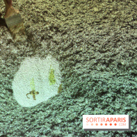 De terre et d’acier au Musée de la Grande Guerre