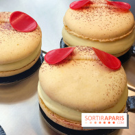 Sitron, le Coffee Shop-Pâtisserie sans gluten