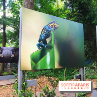 GoodPlanet au Domaine de Longchamp