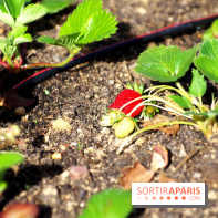 Ground Control 2017 à Paris