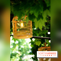 La Démesure Sur Seine à Paris