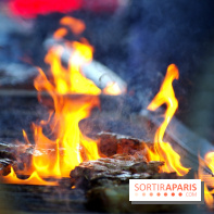 La Démesure Sur Seine à Paris