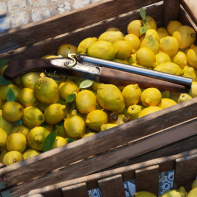 Mafia - The Old Country : la saga Mafia de retour avec une bande-annonce dévoilée à la Gamescom