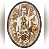 Anatonirisme : l'exposition gratuite entre art et science à la galerie La Lison