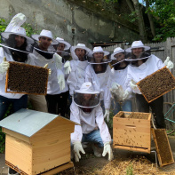 Ateliers d'initiation à l'apiculture durable aux Ruches Villette