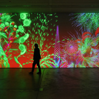 Pixels Botaniques : l'exposition numérique de Miguel Chevalier au Musée de la Seine-et-Marne