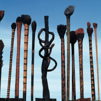 Saison France-Brésil 2025 : exposition Le Cri pour la Planète à l'Espace Frans Krajcberg