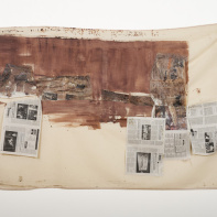 Disco : l'exposition de Vivian Suter au Palais de Tokyo