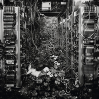 Exposition Les Illusions retrouvées - Nouvelles utopies à l'ère numérique au CENTQUATRE - PARIS