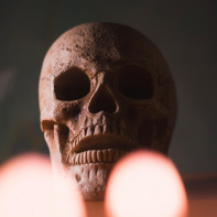 Halloween 2025 dans le Val d'Oise : les évènements pour se faire peur dans le 95