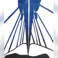 Hors Limites, l’exposition collective à la galerie Mémoire de l’Avenir