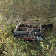 Quests are sometimes disappointing, l’expo photo à la galerie Frangulyan