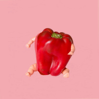 Hybrides, l'exposition à l'Espace Commines