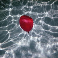 Total Baumann, les deux expositions au Showroom du Marais et à la galerie Corinne Bonnet