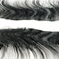 De Natura, l'exposition de Silvère Jarrosson à la Vanities Gallery