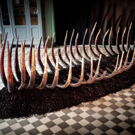 Migrations, l'installation d'Antoine Brodin à la galerie Collection