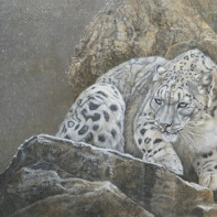 Sauvages, l'exposition à l'atelier Grognard