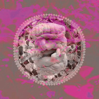 Présences, l'exposition à l'Espace Christiane Peugeot