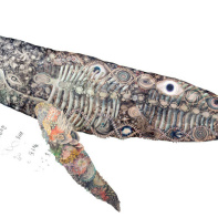 Carte blanche à Maki Ohkojima à l'Aquarium de Paris