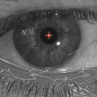 Exposition Michel Paysant à la galerie Lélia Mordoch Second Espace