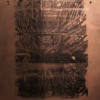 Exposition Eve Pietruschi à l'Hôtel Napoléon