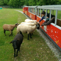 Le Parc du Petit Prince : les nouveautés 2019 