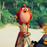Angry Birds - copains comme cochons : bande-annonce