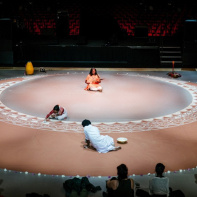 Bâul & Alpona, le spectacle au Musée du Quai Branly