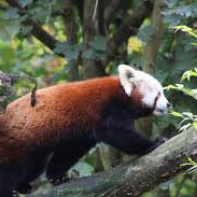 Le guide des Zoos et ménageries à Paris et ses alentours