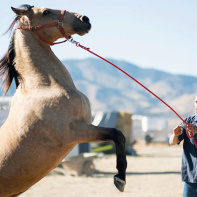 Nevada : découvrez la bande-annonce