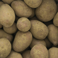 Futur, Ancien, Fugitif, l'exposition au Palais de Tokyo