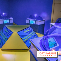 Quiz Room, le jeu comme à la télé à deux pas de l'île de la Cité