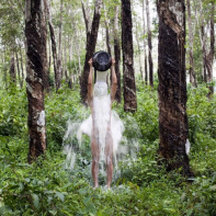 Courants verts, l'exposition à la Fondation EDF