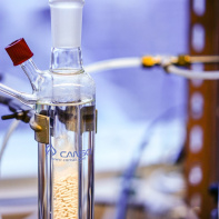 Le Prix Nobel de chimie attribué aux généticiennes Emmanuelle Charpentier et Jennifer Doudna