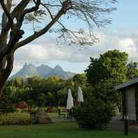 Covid : l'Ile Maurice de nouveau confinée