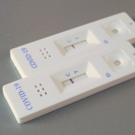 Covid : un test sérologique peu couteux mis au point par un chercheur toulousain